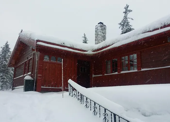 Flott Hytte Pa Lifjell