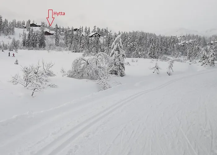 Flott Hytte Pa Lifjell