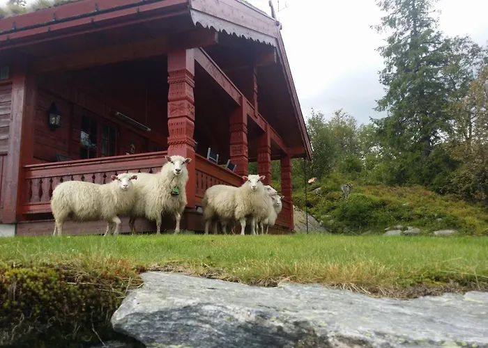 Flott Hytte Pa Lifjell
