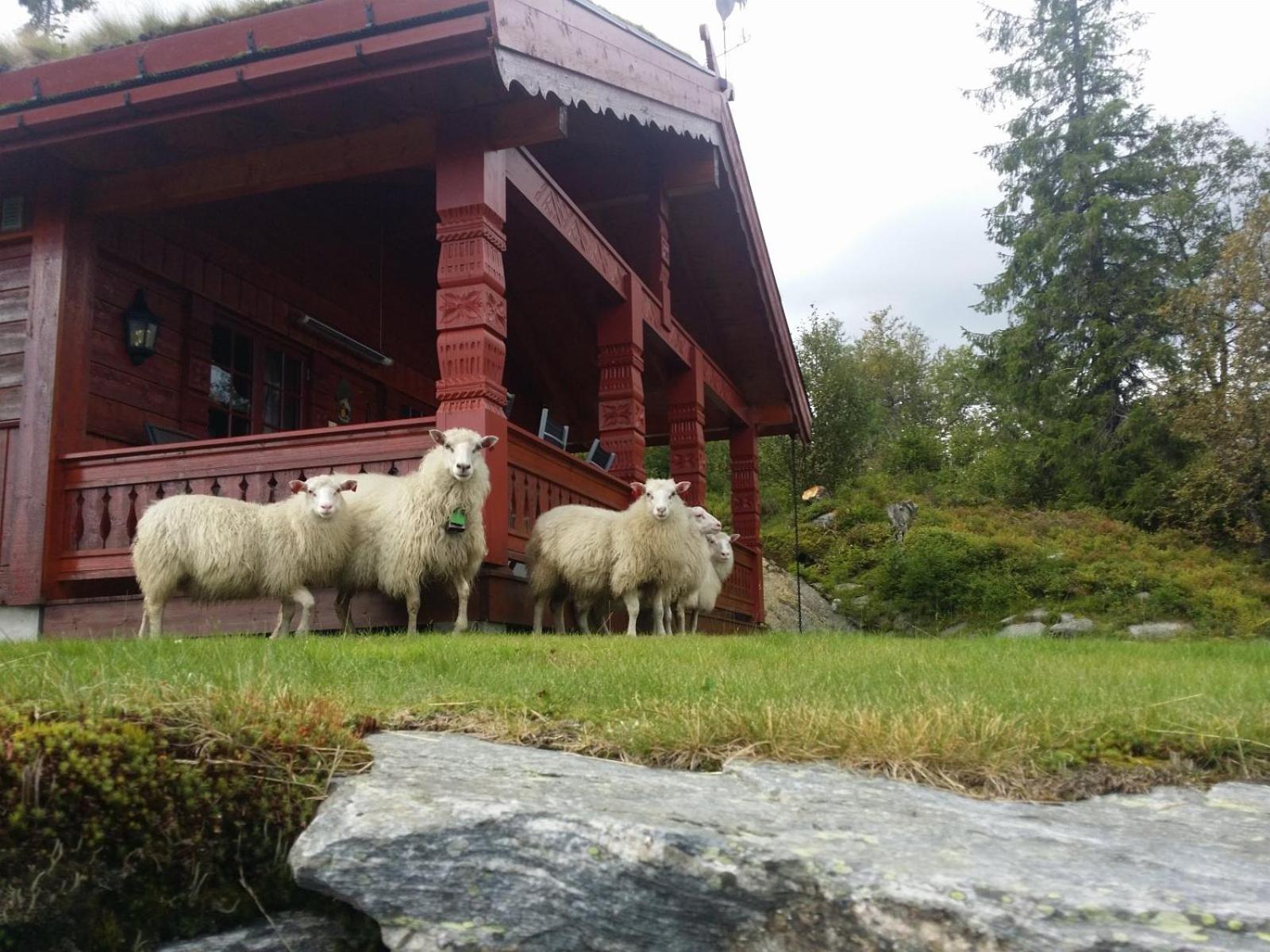 Flott Pa Casa vacanze Lifjell